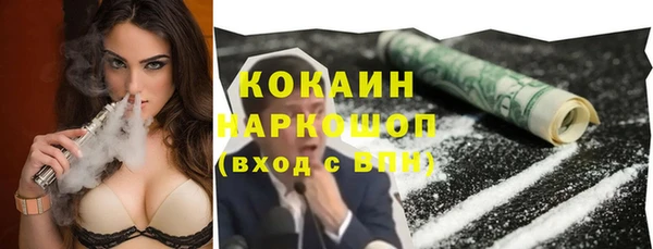 эйфоретик Бородино