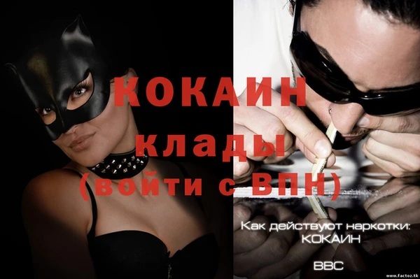 эйфоретик Бородино