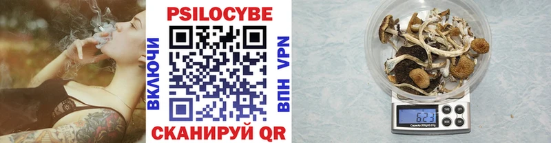 Галлюциногенные грибы мухоморы  купить  цена  Северо-Курильск 
